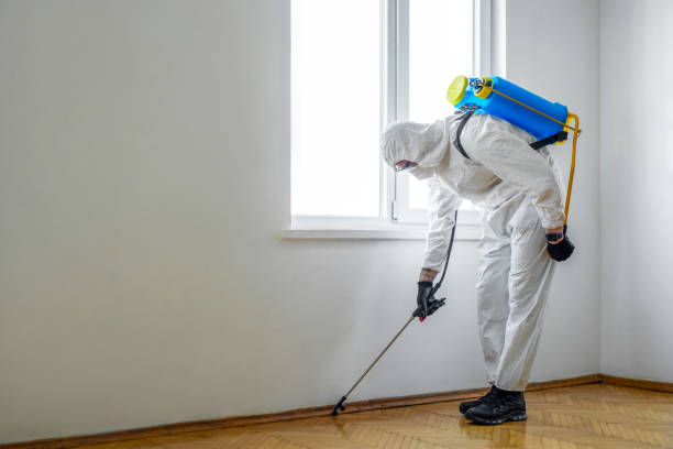 Best Pest Removal Services  in Gateway, FL