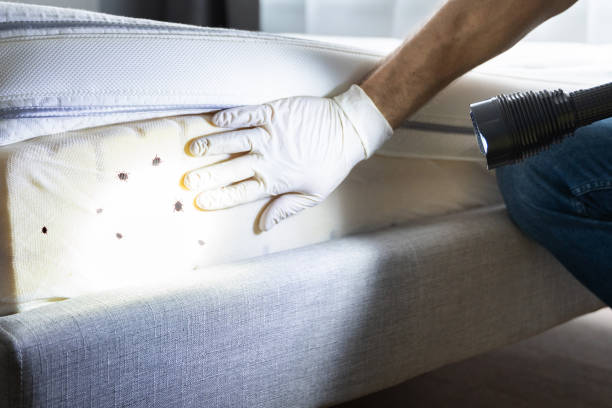 Best Termite Control Services  in Gateway, FL