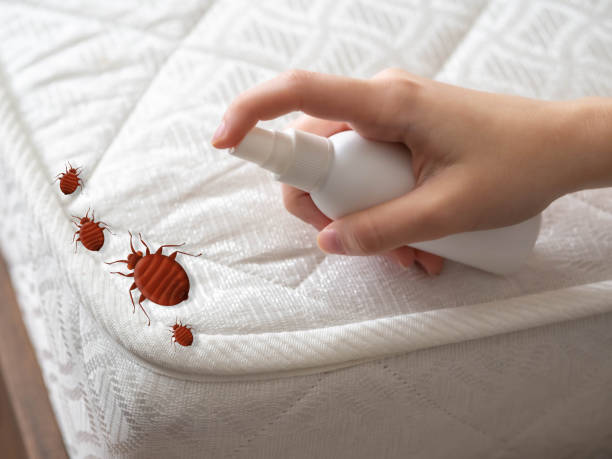 Flea Control Services in Gateway, FL