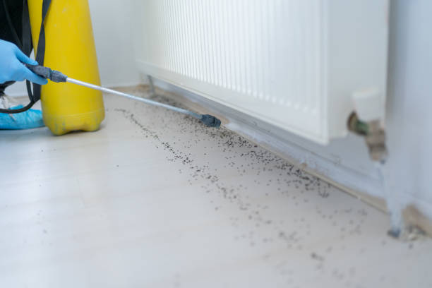 Best Wildlife Control Services  in Gateway, FL